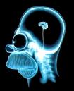 mon cerveau