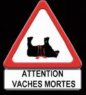 FAITES GAFFES 